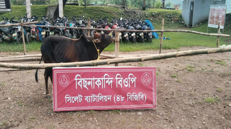 সীমান্তে ৪৮ বিজিবির অভিযান, ৩০ লাখ ৮২ হাজার টাকার চোরাচালানী